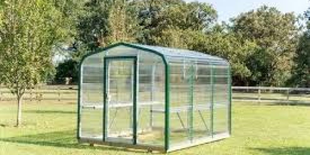 The Perfect Garden Addition: Browse Greenhouses for Sale