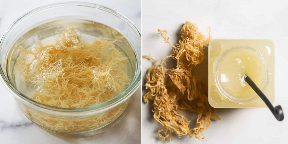 Sea Moss Gel: Overview of this amazing normal treatment method