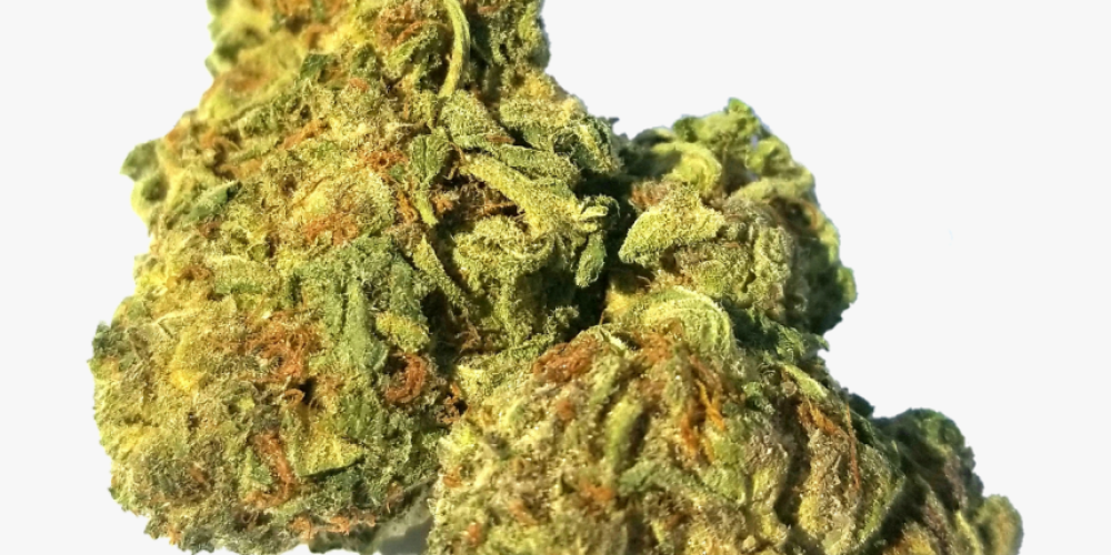 Buy weed online has never been so easy; discover what TFCannabis has to offer you