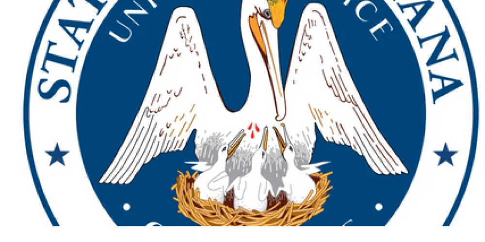 Louisiana’s Approach to Squatter Rights: Legal Perspectives