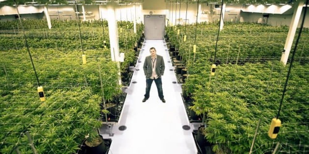 Learn how you can find more Cannabis real estate loan