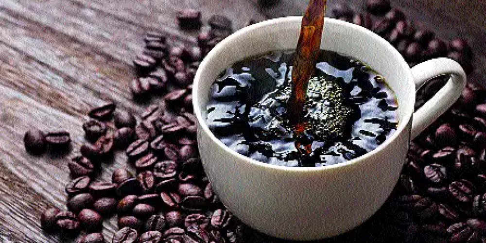 Indulge in premium Quality Whole Bean Coffee And Explore Unique Blends