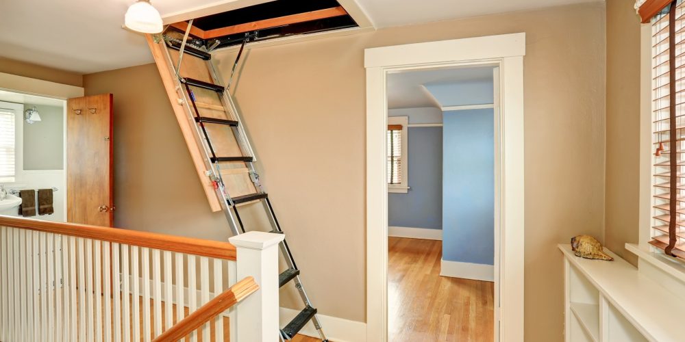 What Do You Need to Know About Loft ladders?