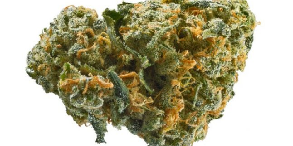 On the web Dispensary- Why Individuals Are Engaging In The Market?