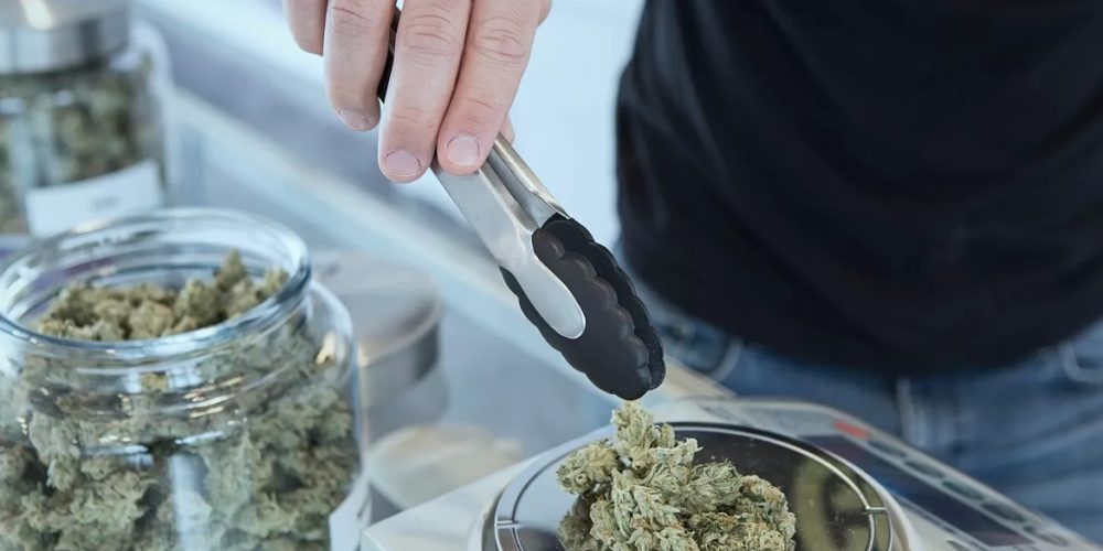 Get Mass Price ranges on Purchase marijuana online’s Wide array of Concentrates