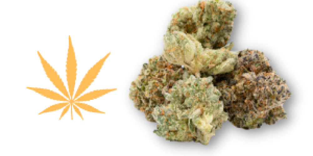 Purchase Weed On the internet over a protected site assures the purity in the product